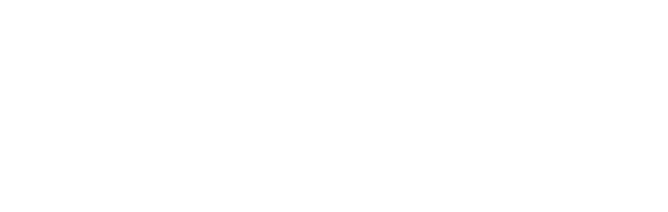 Logo_ao_Academy_Berlin_weiß_quer